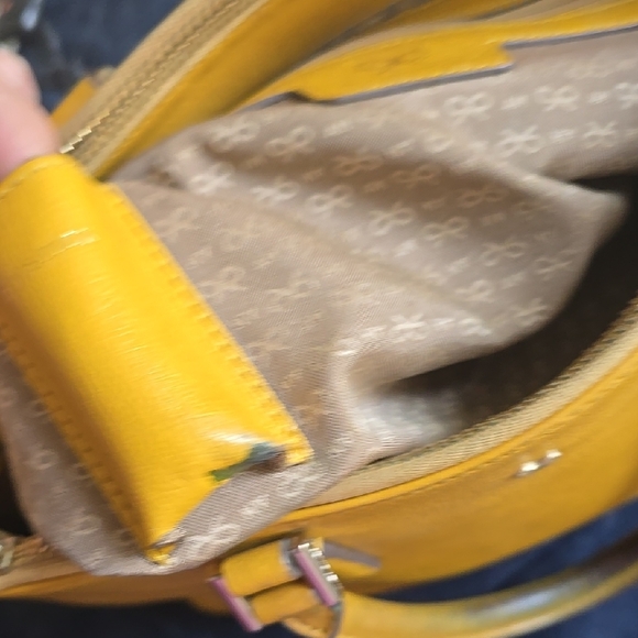 Anya Hindmarch Yellow Leather Women's Bag - Picture 14 of 16